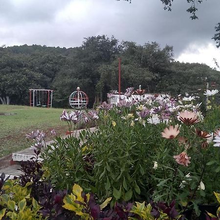Bungalows Villa Limon Chignahuapan Bagian luar foto
